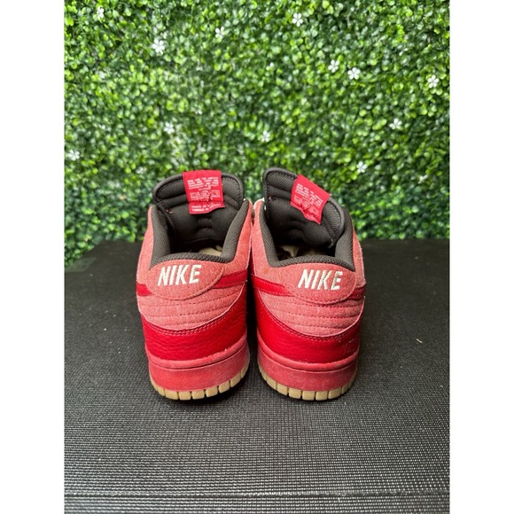 NIKE DUNK LOW CL SHOES MENS US VARSITY GUM 2010 318020-601 - Picture 2 of 6